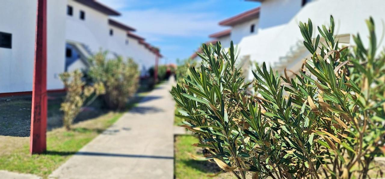 Hotel Fkk Ada Bojana Ulcinj Exterior foto